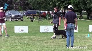 Qualifications – Carina Mayerhofer  + Firehillborder Jasper Frost / Border Collie – AUSTRIA