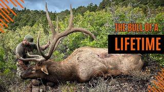 THE BULL OF A LIFETIME w/ Casey Jensen | From Building a Nationwide Business to Archery Elk Hunting