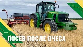 Прямой посев после очёса - есть ли проблемы?