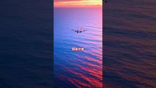 Why Fighter Jets Fly Low Over Oceans
