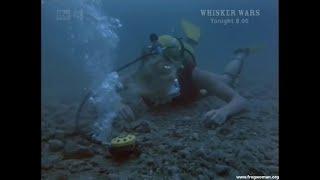 Female diver knocked out by bomb blast! Will she survivve?