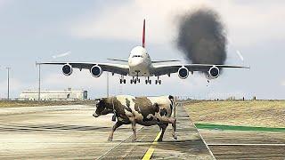 Cow accidently came during airplane landing #shorts #trending