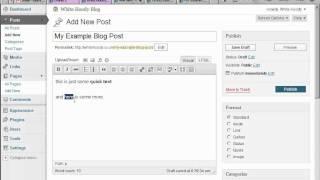 Video 003 - Part 1 - Wordpress Posts and Pages