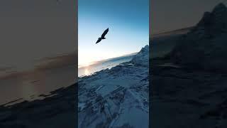 turn back to allah without excuses #motivation #islamicart #islamic #arabic #nasheed #spotify #edit