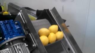 NEWTEC 2014A with VAS996 Net Welder for Lemons