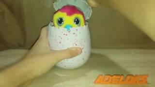 Интерактивная игрушка Spin Master Zoomer Hatchimals Пингви в яйце