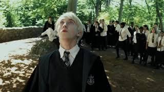 It's killed meh - Draco Malfoy