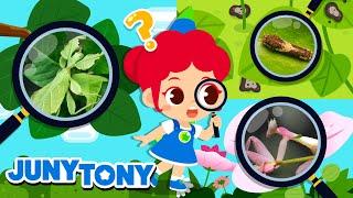 Insectos Escondidos | Camuflaje de Insectos | Canciones Infantiles | JunyTony en español