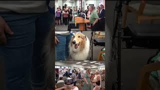 Ned Lamont Signs HB 6677 into Action at The Caring Connection