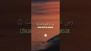 Surah Falaq - Fələq surəsi #qurantilawat #quran #qurantranslation #surahfalaq