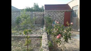 Əlimyandı kupçalı həyət evi satılır Samir 070606-58-88, 050528-90-29