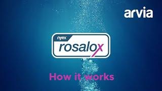 NEW Arvia Nyex Rosalox water treatment process explanation animation with subtitles - HI RES