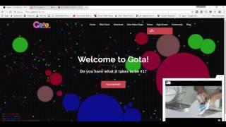 How to submit a skin in Gota.io 2017