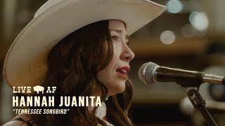 Hannah Juanita | "Tennessee Songbird" | Live AF