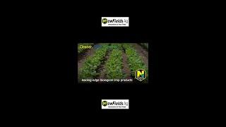 New Fields Ag is committed to provide Cleaner, Safer, and Greener solutions  for your farm + family