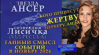 Звезда Ансер и жуткая Лиса-людоед: мистерия ноября 2024 - Кого принесут в жертву Церберу Аида?