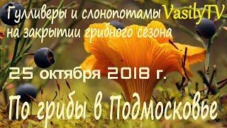 По грибы в Подмосковье 25 октября 2018 гГулливеры и слонопотамы на закрытии грибного сезона