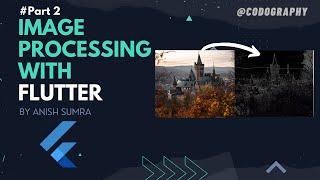 Image Processing in Flutter | Image Editing Flutter | Hindi/Urdu | #2