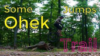 Some Jumps - Ohek Trail - Lozorno, Slovakia - MTB Riding - CTM Zephyr Xpert, CTM Scroll Xpert