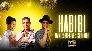 Cheb Mami ft. Sherine ft. Soolking - HABIBI (MEDU REMIX)