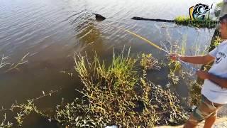  fishing @ Karuwalagaswewa thabbowa lake