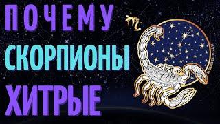 СКОРПИОН САМЫЙ ХИТРЫЙ ЗНАК ЗОДИАКА? ТОП 7 ПРИЧИН!