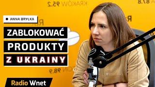 Anna Bryłka: Liberalizacja handlu UE z Ukrainą ma trwać. Wszyscy rolnicy są na straconej pozycji