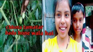 Village Life Style vlog/ desi village girl vlog