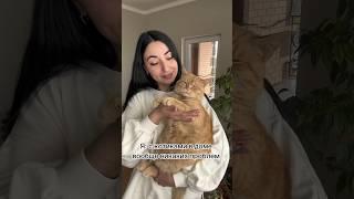 Любите котиков ️ #питомцы #cat #животные #котики #питомец #рыжийкот #кот #коты  #кошка