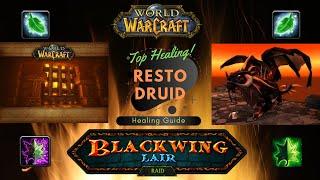 Blackwing Lair Deep Resto Druid Healing Guide Classic WoW Downranking Spells Quick Talent Specs BWL