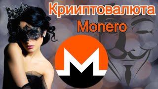 Криптовалюта Monero | XMR