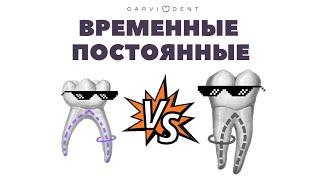 Различия временного и постоянного прикуса | CARVIDENT