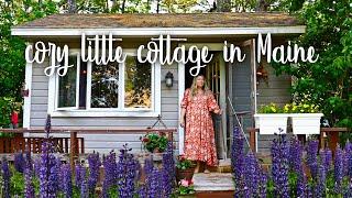 Decorating a tiny cottage in the Maine woods // thrifted boho style
