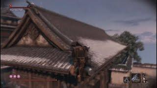 Sekiro-Blazing Bull(Skip Fight)