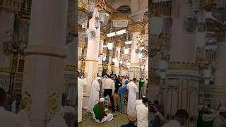 Riaz ul Janna ke zeyarat Hussain k Nana ka ghar Mubarak SubhanAllah #riazuljannah #masjidulnabawi