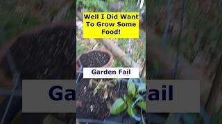 Garden Fail - Dying Pepper In The Bag. Garden Blooper! #urbangardening #gardening #gardeningtips