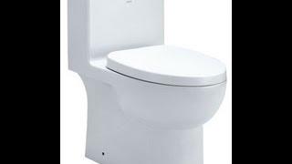 EAGO TB359 Dual Flush High Efficiency Low Flush Eco-Friendly White Toilet