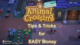 ACNH Tips and Tricks For Making EASY Money