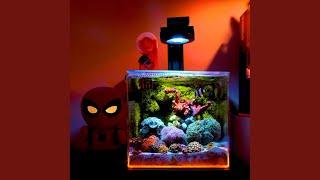 Best Nano Tank Light | Illumagic Pixel LED