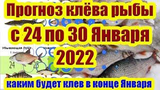 Прогноз клева рыбы на Эту неделю с 24 по 30 Января 2022 Лунный календарь рыбака на январь