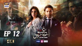 Aye Ishq e Junoon Episode 12 | Ushna Shah | Sheheryar Munawar | 17 Dec 2024 | ARY Digital