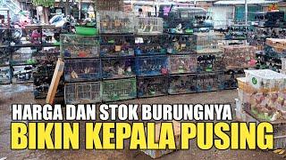 BIKIN KEPALA PUSING ! LIAT HARGA DAN STOK BUKAN DI PASAR BURUNG PRAMUKA INI !