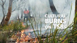 Cultural burns on TSR’s: Walbunja Rangers on Country (SE Local Land Services - NSW)