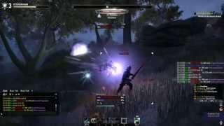 Sanny - Sorc Solo PvP ESO
