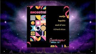 Ancestral - Flamingos (Soul of Zoo) [Kosa Records]