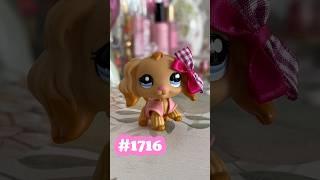 My newest main 5 Lps!!! 🫧 #lps #littlestpetshop #lpscollection