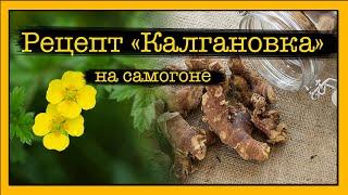 Рецепт настойки "Калгановка" #рецепт #калган #самогон #калгановка