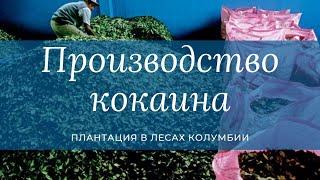 Как делают кокаин? Кокаиновая лаборатория. Пабло Эскобар начинает бизнес