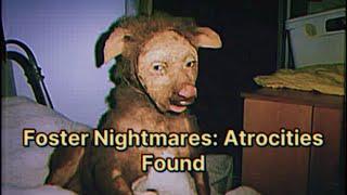 Foster Nightmares: Atrocities Found