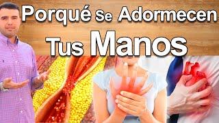 Porqué Se Adormecen Las Manos? - Causas y Soluciones Para El Adormecimiento y Hormigueo de Manos